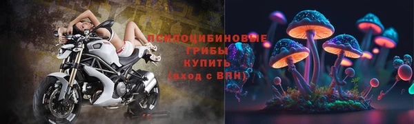 MESCALINE Няндома