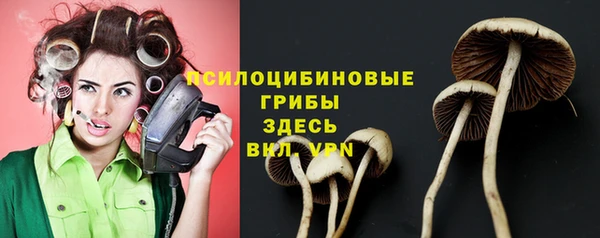 ГАЛЛЮЦИНОГЕННЫЕ ГРИБЫ Алексеевка