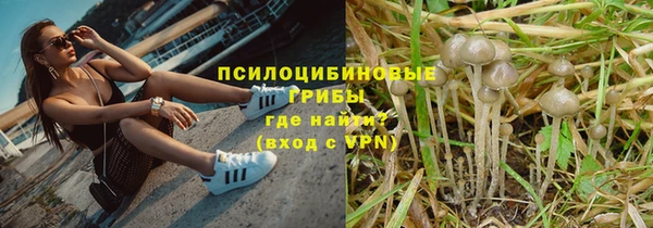 гашик Алзамай