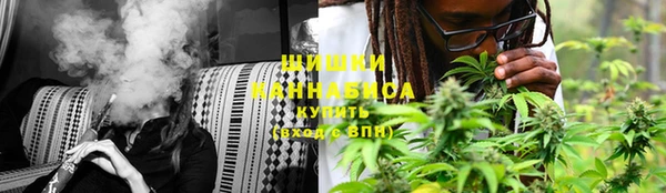 гашик Алзамай