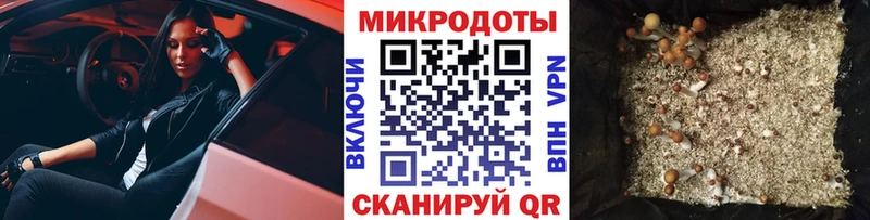 Псилоцибиновые грибы Psilocybine cubensis  Миньяр 