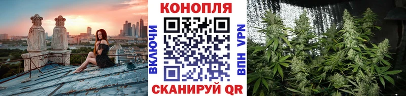 купить закладку  Миньяр  Бошки Шишки THC 21% 